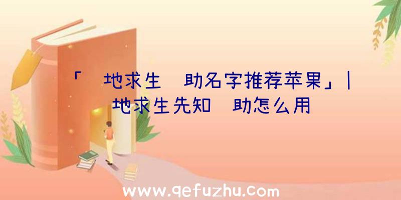 「绝地求生辅助名字推荐苹果」|绝地求生先知辅助怎么用